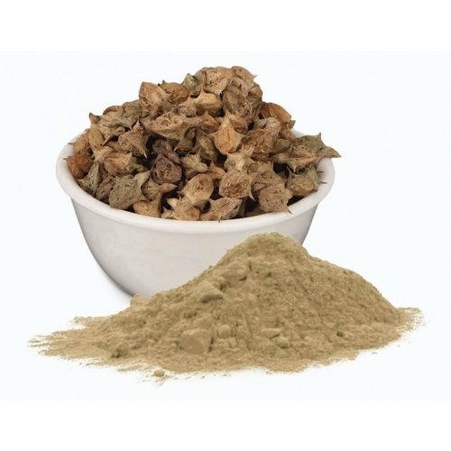 mGanna Gokhru Powder (Pedalium murex) For Improving Immunity and Skin Care Cosmetics Formulations