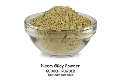 MGanna Pure Guduchi / Giloy / Tinospora Cordifolia Powder For Immunity and Health Care Supplements