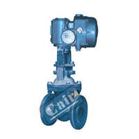 Motorized Gate Valve - Stainless Steel, Different Size, Blue | 220-440 Voltage, 1 Year Warranty