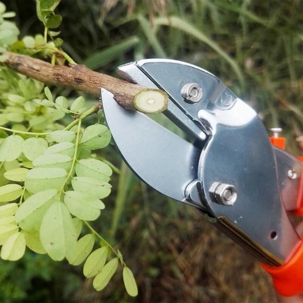 GARDEN SCISSOR PROFESSIONAL