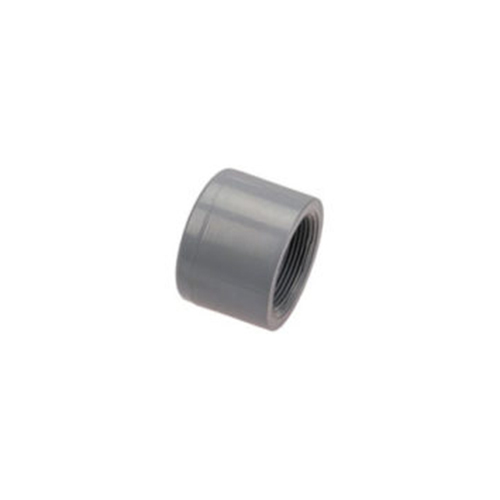 CPVC Threaded End Cap