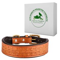 SPARROW DAUGHTER GENUINE TOOLED LEATHER DOG COLLAR WITH SOFT PADDED