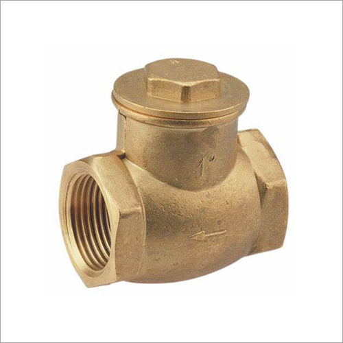 Horizontal And Vertical Check Valve