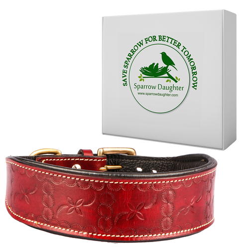 SPARROW DAUGHTER LEATHER TOOLED DOG COLLAR - Leather, 200 GM, Marron | Antique Brass Buckle, Rust Resistant, 16 Embroidery Colors, Stylish Design