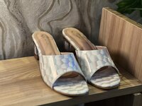 Shining Slipper