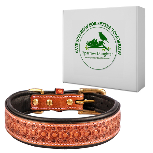 SPARROW DAUGHTER LEATHER DOG COLLAR FOR MEDIUM AND LARGE DOG WITH HAND TOOLING - Leather, Medium/Large, Yellow Brown, Antique Brass Buckle, Rust Resistant
