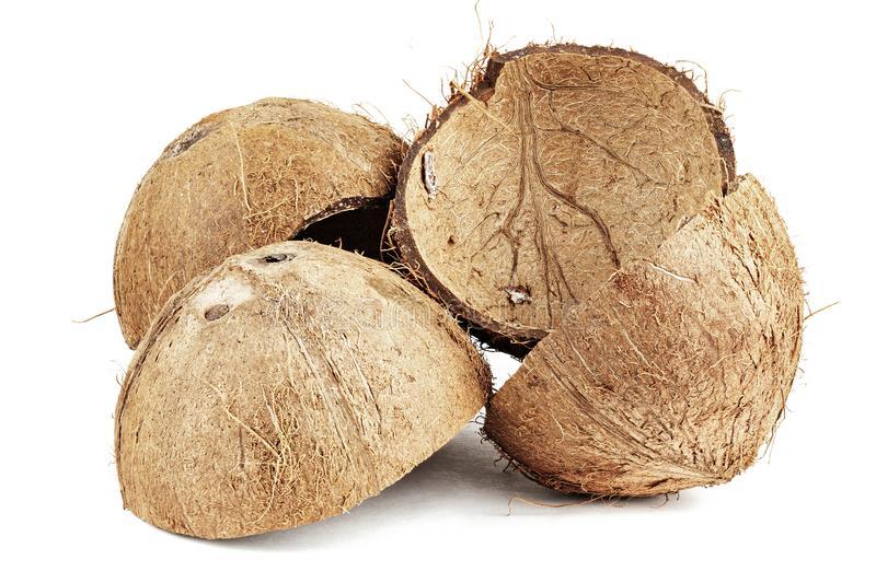 Coconut Shell