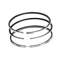 Vilter 450 Oil Ring - Steel Material, Hardness 20 To 90 Shore, Gray Color | Industrial Usage