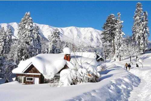 03 Night or 04 Day  Srinagar or Pahalgam or Gulmarg Tour Package