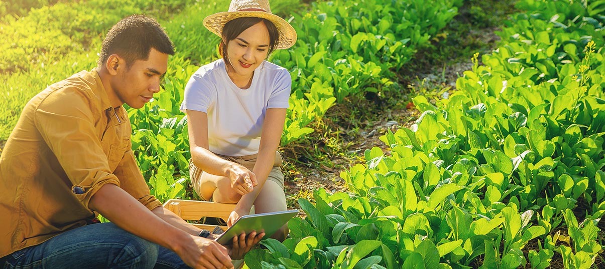Farming Services