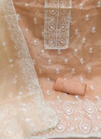 Krupali Orange Organza Dress Material