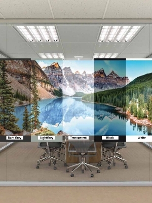 Holographic Projector Screen - Color: Transparent