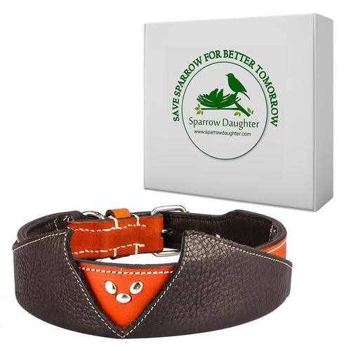SPARROW DAUGHTER LEATHER DOG COLLAR WITH V - SHAPE DESIGN AND STUDDED - Leather, 200 GM, Orange/Dark Brown | Handcrafted, Rust Resistant, Antique Brass Buckle, 15 Color Options