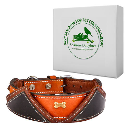 Sparrow Daughter Leather Dog Collar With V-shape Design For Small Medium And Large Dogs