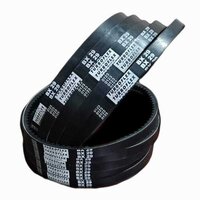 Cogged Belt - Belt Color: Black