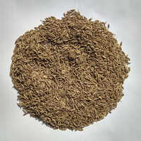 Cumin Seed