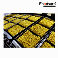 Instant Noodle Plant