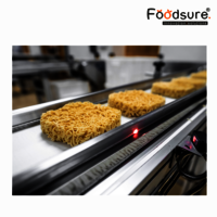 Noodle manufacturing Plant