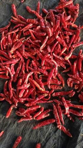 Dry Red whole Chilli