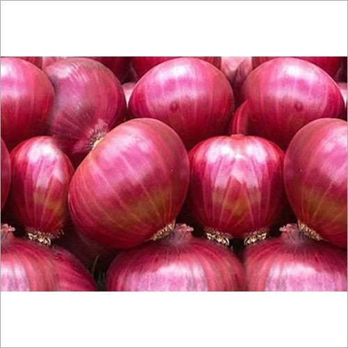 Round Fresh Onion