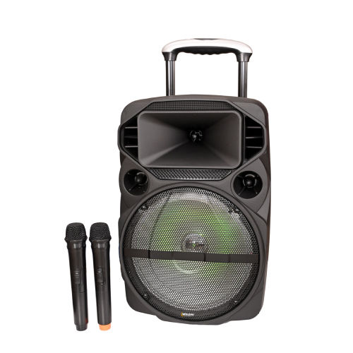 Black Wj-1202 Usb And Aux Speaker Trolley