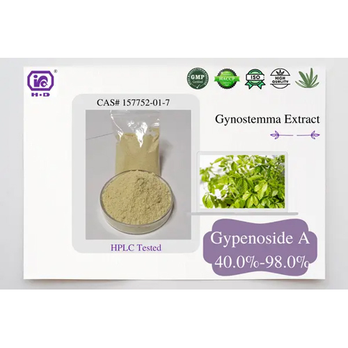 Gynostemma Pentaphyllum Extract 80% Gypenoside