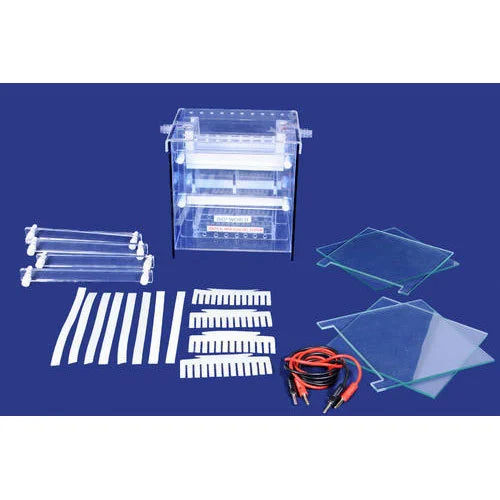 Dual Gel Electrophoresis System