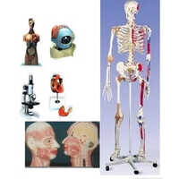 Biology Lab Equipment's And Models
