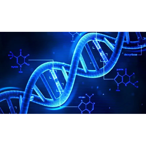 DNA Sequins
