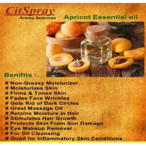 Apricot Oil Ingredients: Herbal Extract