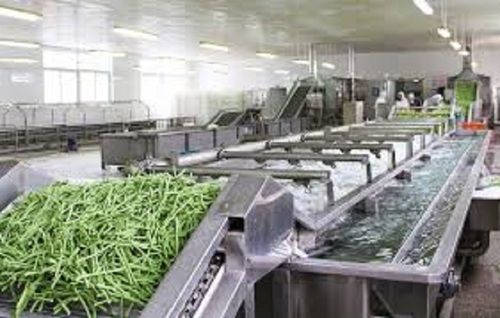 Fruit And Vegetable Processing Plant