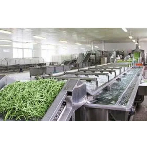 Fruit And Vegetable Processing Plant - Color: Sliver