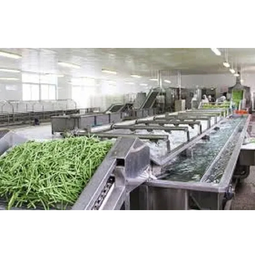 Fruit And Vegetable Processing Plant