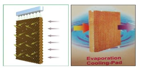 Honeycomb Cooling Pad Manufacturer From Kannur Kerala