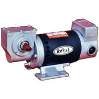 110 W Royal PMDC Gear Motor