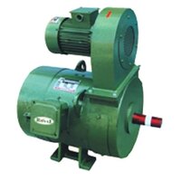 Royal DC Gear Motor With Blower
