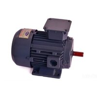 Industrial AC Torque Motor