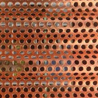 Brass Perforated Sheets