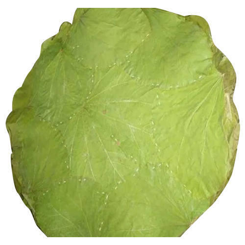 Siali Leaf Buffet Plate - Application: Commercial