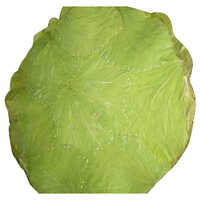Siali Leaf Buffet Plate Application: Commercial