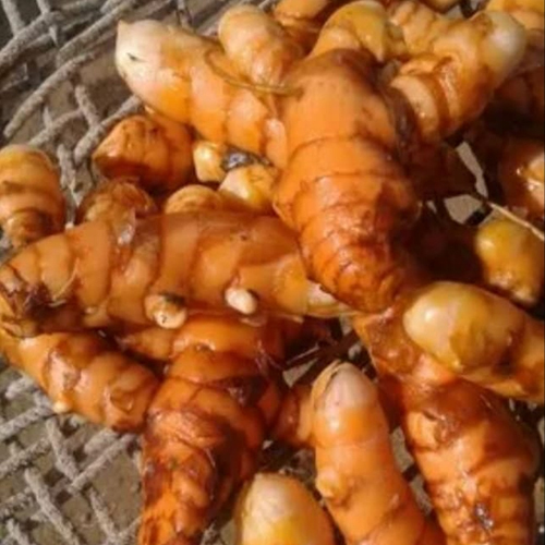 Raw Turmeric