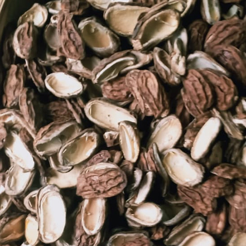 Dry Whole Amchur