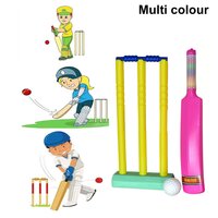 PLASTIC CRICKET BAT BALL SET FOR BOYS AND GIRLS(8027)