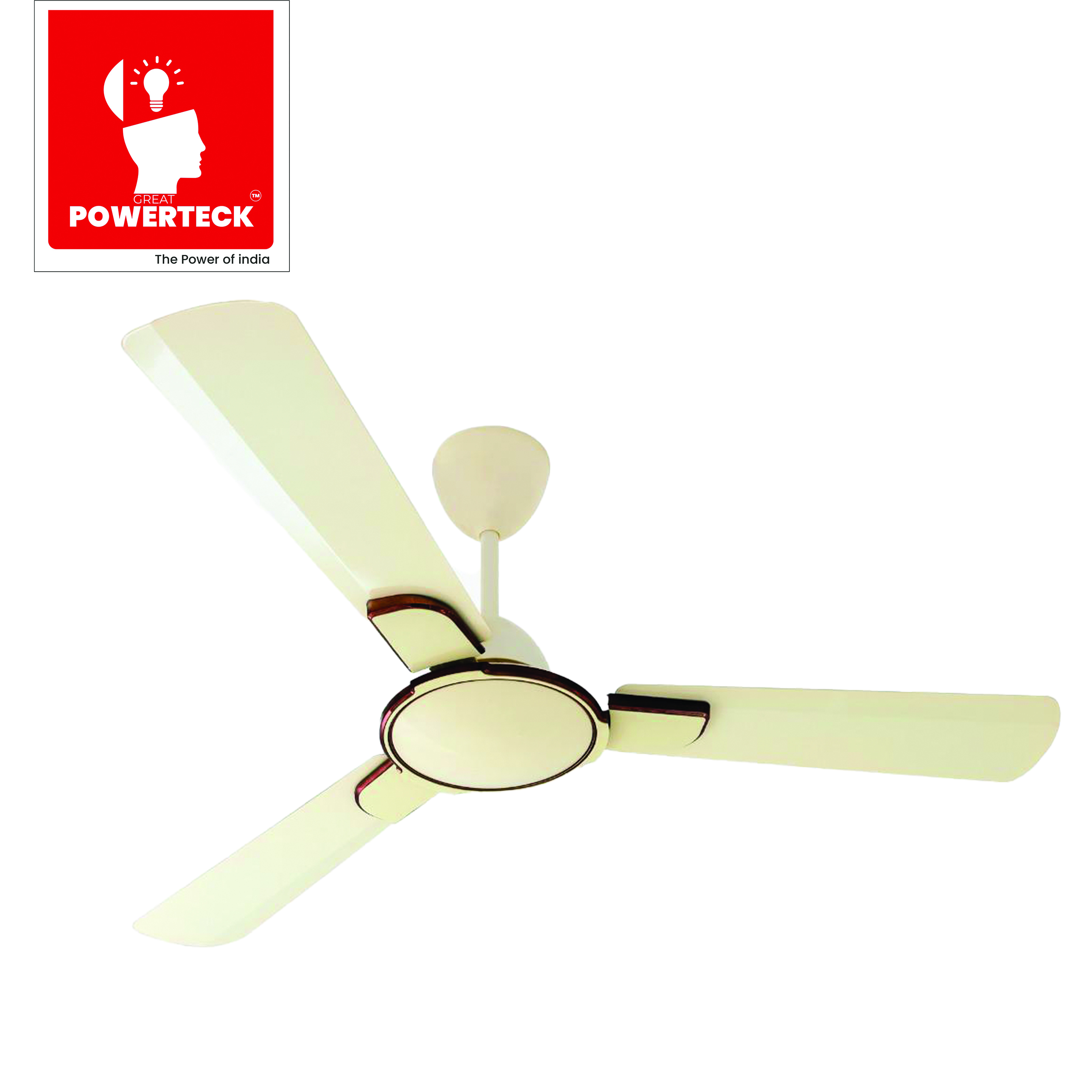 Celiling Fan