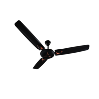 Celiling Fan