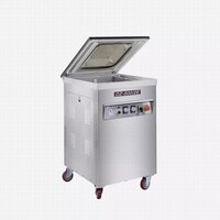 PIC-500/2E SINGLE CHAMBER VACUUM PACKING MACHINE