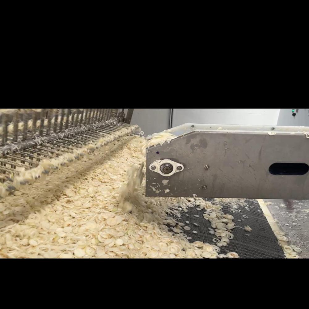 Onion Dehydration Plant