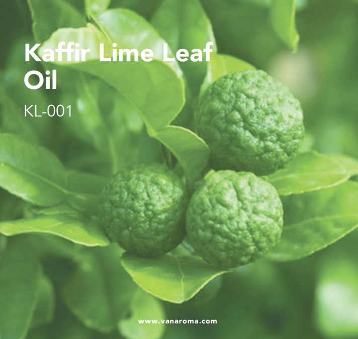Kaffir Lime Leaf Oil (KL-001) Van Aroma