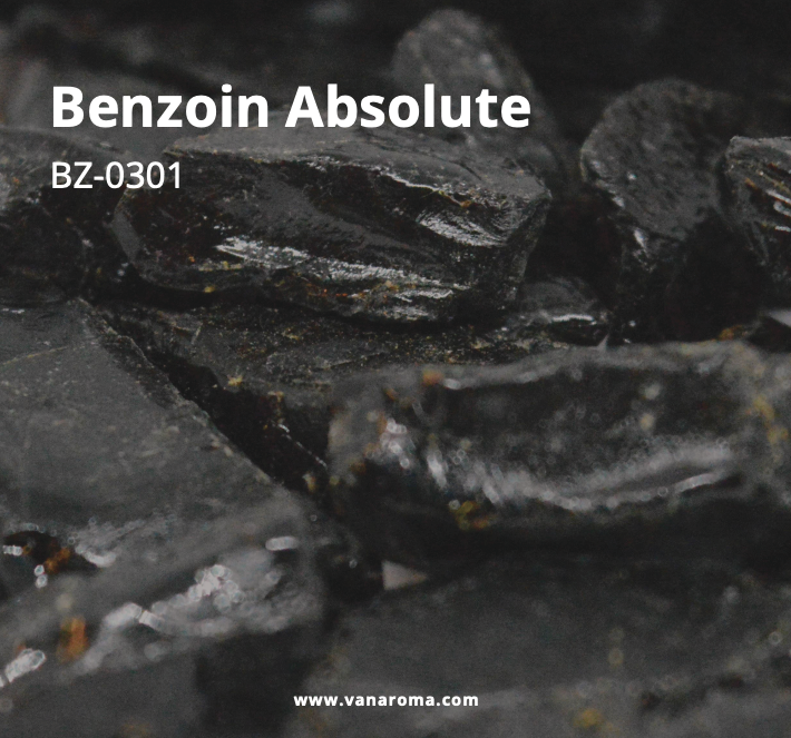 Benzoin Absolute - Wax Form, Black Color | Concentrated Aromatic Resin for Perfumery, Aromatherapy, Incense, and Flavoring