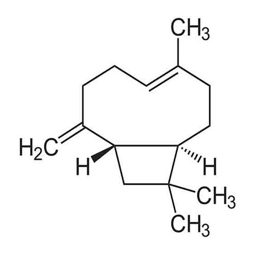 Beta Caryophyllene